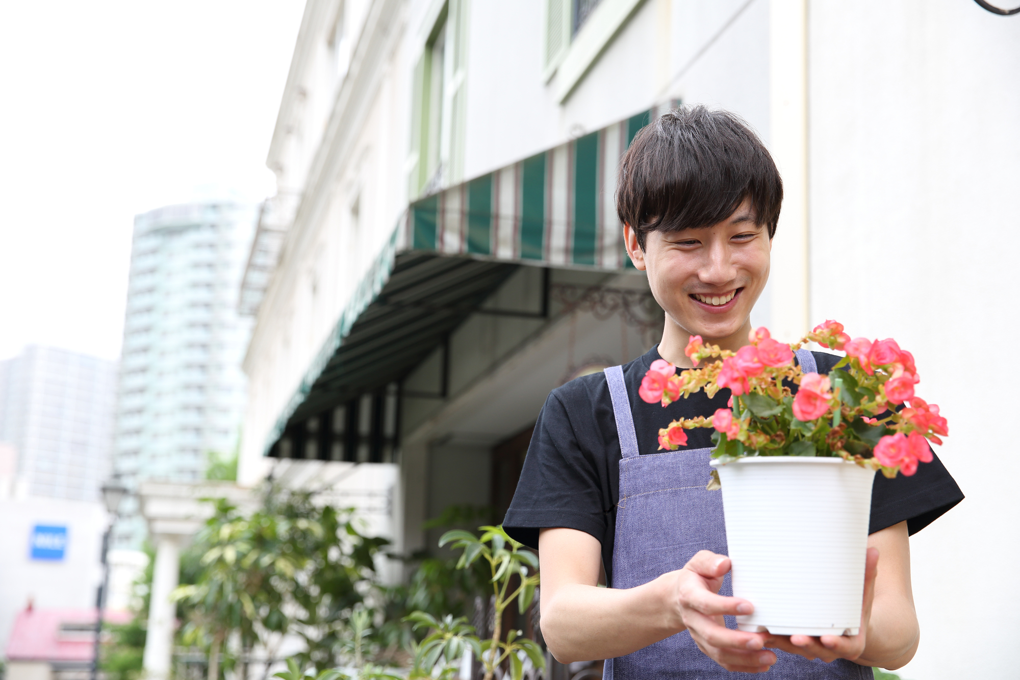 鉢植え