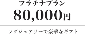 プラチナプラン8万円