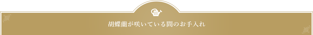 胡蝶蘭が咲いている間のお手入れ